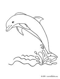 Dolphin Coloring Pages Dolphin Out Dolphin Drawing Dolphin Coloring Pages Drawings