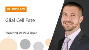Glial Cell Fate featuring Dr. Paul Tesar