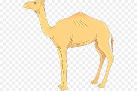 سُمِّي المصدر المشتق من حروف الفعل المؤكِّد لمعناه أو المبيِّن لنوعه أو عدده «مَفعُولٌ مُطلَق »، وسُمِّيَ كذلك لأنَّه غير محصور بأيِّ قَيد، بمعنى أنَّه مُطلق عن القيود التي التصقت بغيره من. Ø§Ù„Ø¬Ù…Ù„ Ø§Ù„ØµØ­Ø±Ø§Ø¡ ØµÙˆØ±Ø© Ø¸Ù„ÙŠØ© ØµÙˆØ±Ø© Ø¨Ø§Ø¨ÙˆØ§ Ù†ÙŠÙˆ ØºÙŠÙ†ÙŠØ§