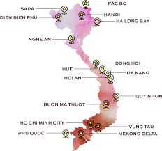 Con cá mập voi có kích thước khổng lồ dài đến gần 5m, nặng gần 800kg vừa mắc lưới ngư dân nghệ an. Vietnam Travel Guide Luxury Vietnam Holidays Lotus Tours