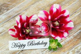 Scarica gratis immagini buon compleanno spettacolari. Scheda Di Buon Compleanno Con Fiori Di Dalia Carta Da Parati Carte Da Parati Dalia Beatiful Buon Compleanno Myloview It