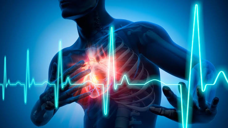 Herzinfarkt & Schlaganfall vorbeugen: Risiko testen – was bringen Rechner?