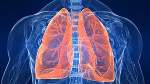 Fibroza pulmonara idiopatica (fpi) este o boala cronica rara, de cauza necunoscuta, care afecteaza ambii plamani. SpecialiÈtii In Pneumologie AvertizeazÄ Ce Ar Trebui SÄ FacÄ PacienÈii Care Au Trecut Prin InfecÈia Cu Covid 19 Pentru A Nu RÄmane Cu PlÄmanii AfectaÈi Exquis