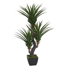Browse orchids, roses & more. Nearly Natural Artificial Dracaena Plant With Black Vase 275212227245961042 Artificial Plants Artificial Plant Wall Dracaena Plant