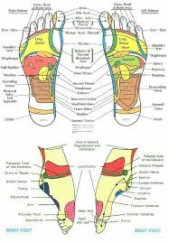 feet and ankles footmassagediagrampressurepoints foot