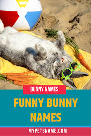 Black And White Bunny Names Boy Funny Bunny Names Bunny Names Rabbit Names Cute Names