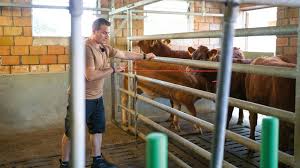 1. Platz: Hängendes Schiebegatter zur Tier-Separation