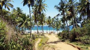 En there, in resende, volkswagen built one of the most modern plants in the world for trucks and buses. Acesso Praia Do Resende Bild Von Rezende Baech Itacare Tripadvisor