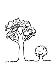 Free, printable coloring pages for adults that are not only fun but extremely relaxing. Free Printable Tree Coloring Pages For Kids