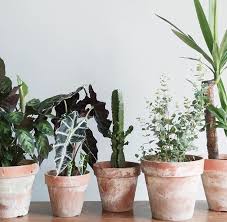 Venez Decouvrir Le Jardin Ephemere De Maison Bouture Lyon Femmes