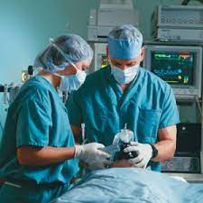 Check spelling or type a new query. Do You Need A Master S In Nursing To Be A Nurse Anesthetist Best Masters In Nursing Programs