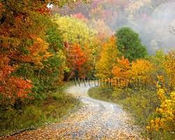 Pin En Wild And Wonderful Wv