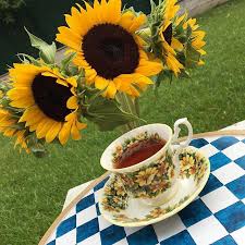 Nefsiniz ve rûhunuz kıyâmete kadar savaşacak. Bir Demet Aycicegi Alir Miydiniz Lale Gul Sumbul Karanfil Buketi Oluyor Da Neden Aycicegi Buketi Olmasin Sapsari Yapraklari I Glassware Sunflower Fields