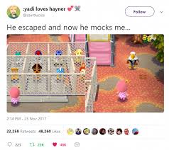 Animal Crossing Memes Videogamememes Animal Crossing Funny Animal Crossing Memes Animal Crossing