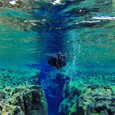 Swimming in the crystal clear water amidst the reef wildlife is purely a magical experience. Snorkelling In Iceland Clearest Water In The World Album On Imgur