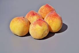 We did not find results for: Hd Wallpaper Peach Pome Fruit Sweet Food Eat Tasty Healthy Vitamins Wallpaper Flare