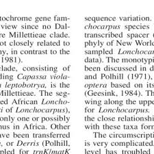 Image result for Ophrestia radicosa