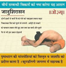 Pin By Parveen Kumar On Yoga Yoga Pose Ideas How To Do Yoga Ramdev Yoga