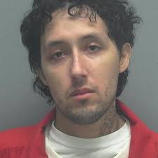 Lee County Arrests 7/3