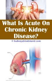 Kidney Cleanse Drink Kidney Disease Symptoms Kidney Disease Chronic Kidney Disease