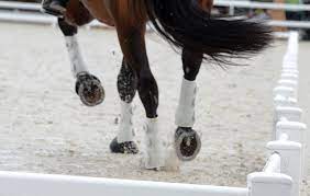How To Build A Riding Arena