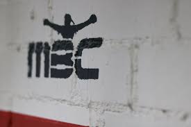Spiele, siege, unentschiede, niederlagen, tore, torverhältnis und punkte vom 34 der bundesliga (bbl) 2020/21. Mbc Ludwigsburg Ludwigsburg Baden Wurttemberg Germany Boxing Gyms