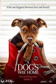 sadik dostum indir 2018 1080p turkce dublaj tek link a dogs purpose free movies online dog movies