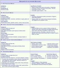 Svetlana Masgutova Educational Institute Hierarchy Of Autonomic Reflexes Primitive Reflexes Autonomic Nervous System Sympathetic System