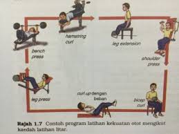 We did not find results for: Kekuatan Otot Daya Tahan Otot Physical Ed Quizizz