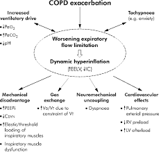 1 chronic obstructive pulmonary disease (copd) refers to fixed airflow obstruction caused by chronic bronchitis (productive cough for at least 3 months of the year for at least 2 consecutive years) or emphysema 4 there is no universally accepted definition of an acute exacerbation of copd. Copd Exacerbations 3 Pathophysiology Thorax