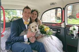 Image result for Old English White 1992 Taxi