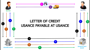 Gibson Lie Usance Payable At Usance Letter Of Credit