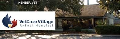 Hours may change under current circumstances Low Cost Veterinary Care Tampa