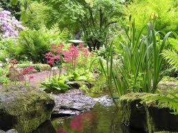 In zeiten von corona stehen die sicherheit und die gesundheit unserer gäste und unseres personals an erster. Jubilaumsfeier Des Botanischen Gartens Fallt Ins Wasser Braunschweigischer Hochschulbund E V