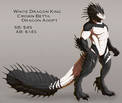 So pretty, so good, so pure so i am going to slowly start making my koi/beta dragons once moar!. White Dragon King Crown Beta Dragon Adopt Closed By Essence Of Rapture Fur Affinity Dot Net