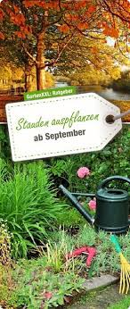 Diese Seite Ist Offline Stauden Mehrjahrige Pflanzen Staudengarten