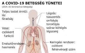 A probléma, hogy sokan tünetmentesen vészelik át a koronavírust, és nem is tudják, hogy átestek rajta. Covid19 Teszteles Wikipedia