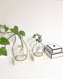 グリーンのディスプレイに最適 100均 ダイソーetc のおすすめアイテム folk ダイソー 花瓶 ダイソー 100均