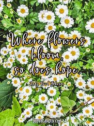 Inspiring Quotes About Plants And Flowers Joy Us Garden Plants Quotes Inspirational Quotes Nature Quotes
