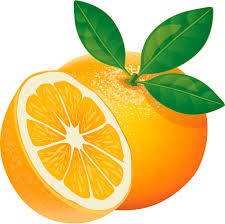 View images library photos and pictures. Orange Clipart Free Download Transparent Png Creazilla