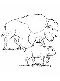 Buffalo Coloring Pages To Print Buffalo Is A Cattle Mammal Inhabit Many Lands In The World Espec In 2020 Animal Coloring Pages Coloring Pages Coloring Pages To Print