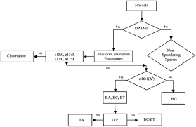 Differentiation Of Bacillus Endospore Species From Fatty