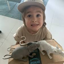 TOP 10 BEST Wildlife Control near Lawndale, CA