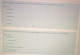 We did not find results for: Using The Cells Alive Website For Help If You Need Chegg Com