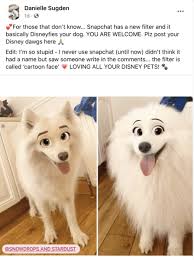 Danielle sugden shared this tip on the dogspoting society facebook group, writing: Snapchat Filter Turns Your Dogs Into Disney Characters Inside The Magic