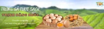 Công Ty TNHH Trịnh Đăng Khôi
