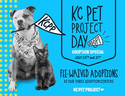 Small breed dogs and puppies: Kc Pet Project Day Fee Waived Adoption Event Kc Pet Project