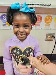 Northgate School District