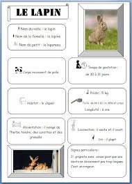 Carte D Identite Du Lapin Par Gwendoline Cliquezicisurfez Over Blog Com Carte D Identite Lapin Bon Appetit Monsieur Lapin