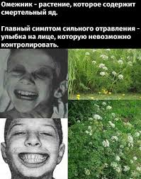 Begimay iz (begimajbakasova1)